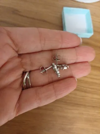 Pendientes de gato acero