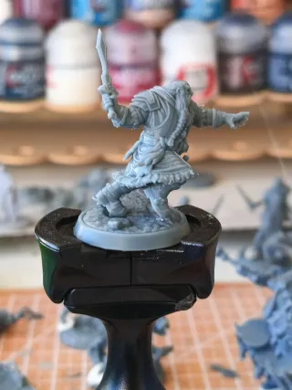 Miniatura 32mm D&D Guerriero Nano