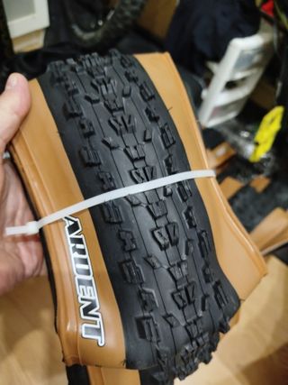 Cubierta MAXXIS Ardent 29x2.25 EXO TR