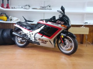 Kawasaki ZX-10 Tomcat 1000