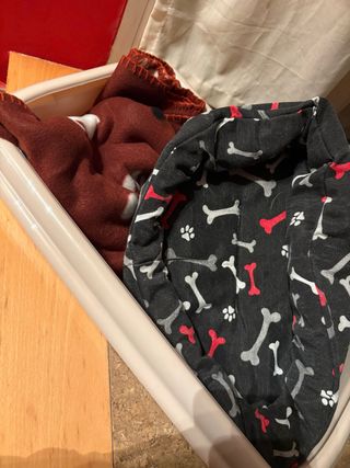 Set de cama para mascotas