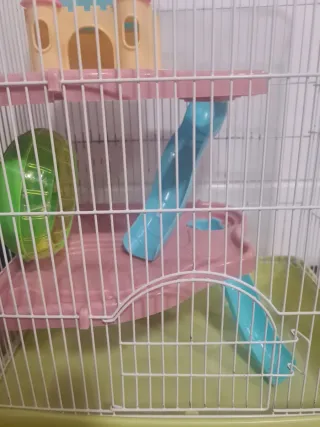 Jaula hamster
