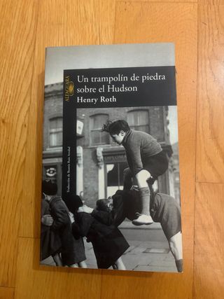 Un trampolín de piedra sobre el Hudson