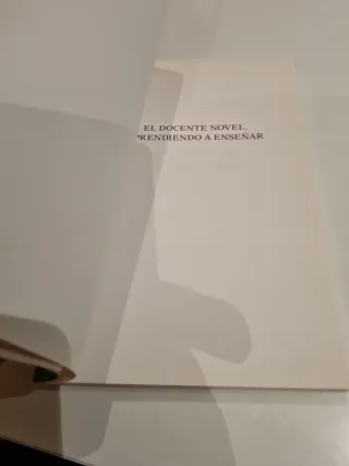 El docente novel, aprendiendo a enseñar.
