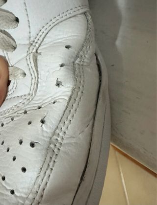 Nike Court Vision Low Sneakers Bianche