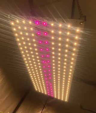 Panel LED The Jackson 150w Grow Or Die