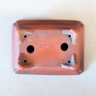 Maceta Bonsái Tokoname Japón - BIGEI - 15cm