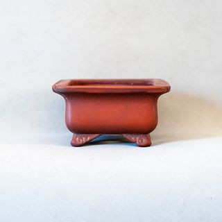 Maceta Bonsái Tokoname Japón - BIGEI - 15cm