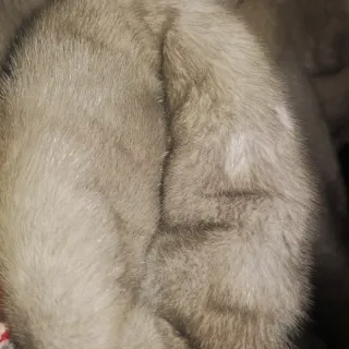 Zaffiro Pellicce - Cappotto Lungo Grigio