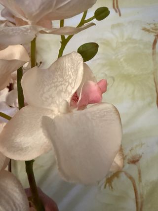 Coppia Orchidee Artificiali Fiori Tessuto