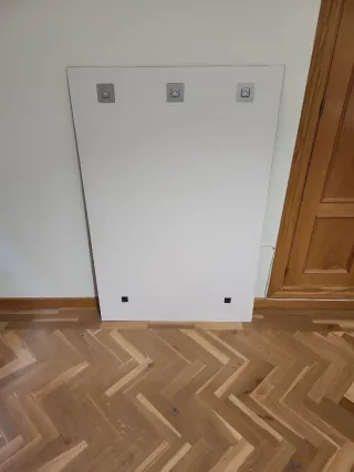 Cuadro de cristal pintado de león