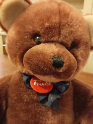 Coppia Orsacchiotti Trudi