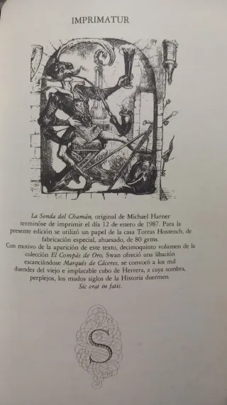 espiritualidad la senda del chamán