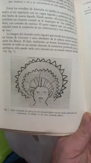 espiritualidad la senda del chamán