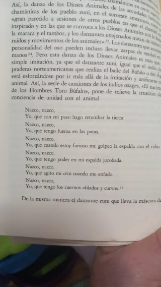 espiritualidad la senda del chamán
