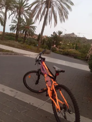 Bicicleta de montaña naranja