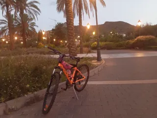 Bicicleta de montaña naranja