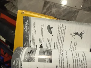 Shamu's Deep Sea Adventures PS2