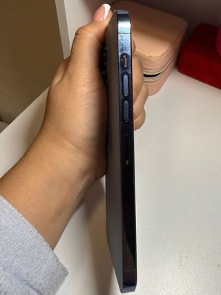 iPhone 13 Pro Max 256GB Gris