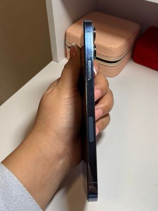 iPhone 13 Pro Max 256GB Gris