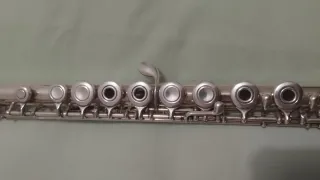 Flauta Travesera Yamaha YFL-381