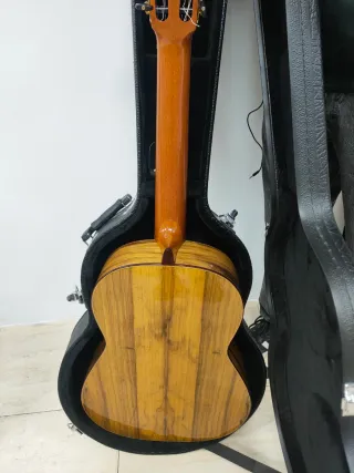 Guitarra Clásica Raimundo