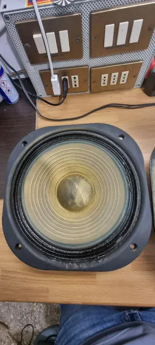 Woofer Pioneer COPPIA 25-717F