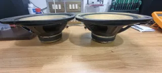 Woofer Pioneer COPPIA 25-717F