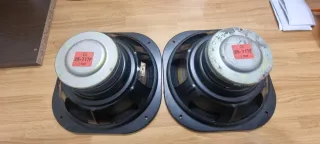 Woofer Pioneer COPPIA 25-717F