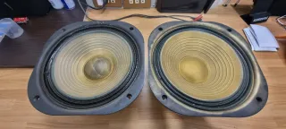 Woofer Pioneer COPPIA 25-717F