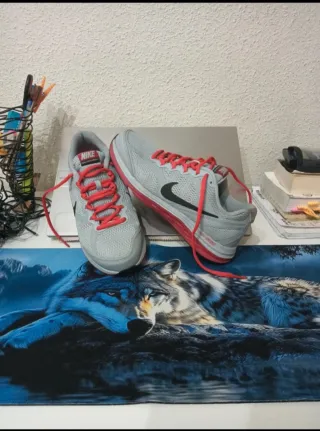 Zapatillas Nike Dual Fusion Run 3 Gris/Rojo
