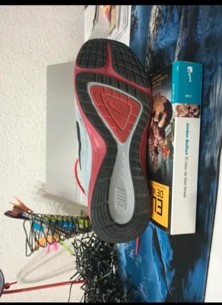 Zapatillas Nike Dual Fusion Run 3 Gris/Rojo