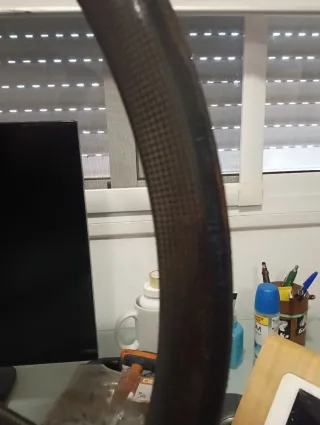 Rueda Corima Carbono 4 palos tubular