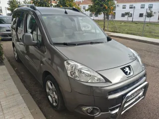 Peugeot e-Partner 2009