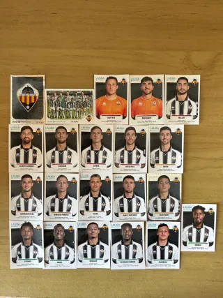 Equipo Castellón Liga Hypermotion Cromos