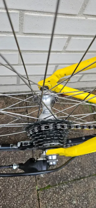 Bicicleta Carretera Giant edición coleccionistas