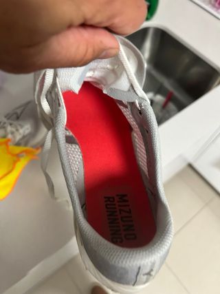 Zapatilla Mizuno Wave Rebellion Flash 2 Gris.