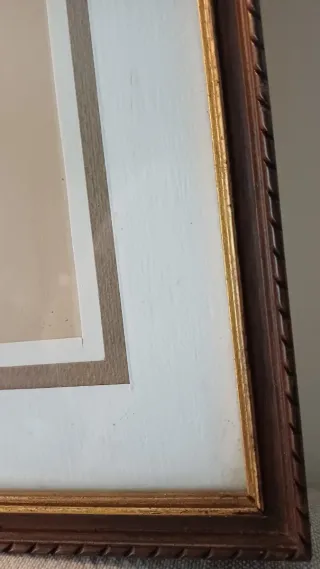 Fotolitografia Ritratto Femminile Guttuso