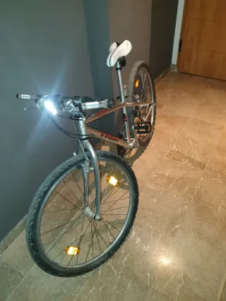 Bicicleta Trek 300