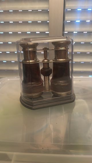 Prismáticos antiguos con funda
