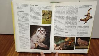 Diccionario de animales