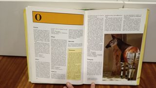 Diccionario de animales