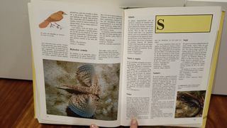 Diccionario de animales