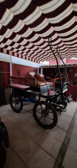 Maratón con amortiguadores neumáticos en perfecto