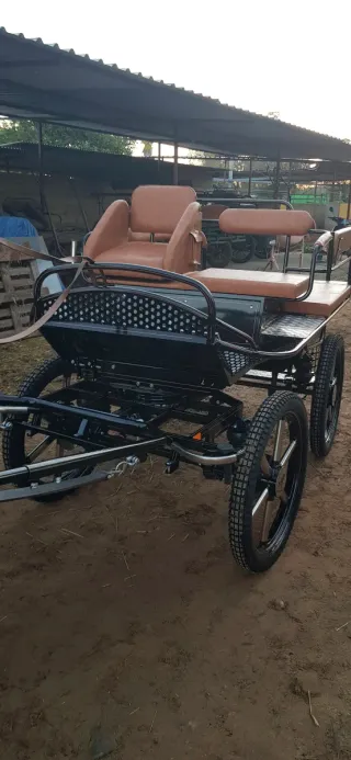 Maratón con amortiguadores neumáticos en perfecto