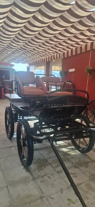 Maratón con amortiguadores neumáticos en perfecto