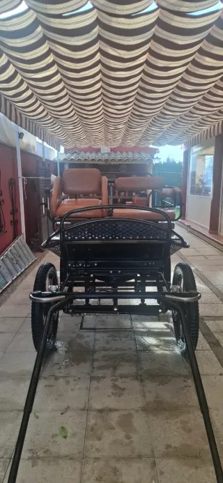 Maratón con amortiguadores neumáticos en perfecto