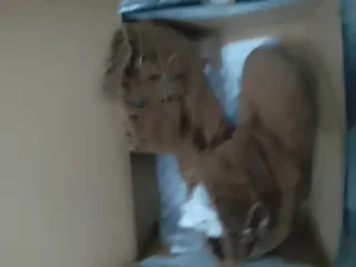 Botas Camel Piel Vuelta Tacon