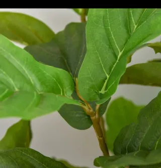 Planta Artificial Verde