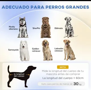 Sofá para perros